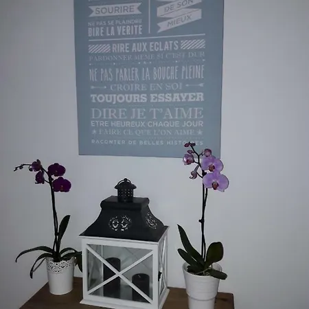 Bois Appartement Lille